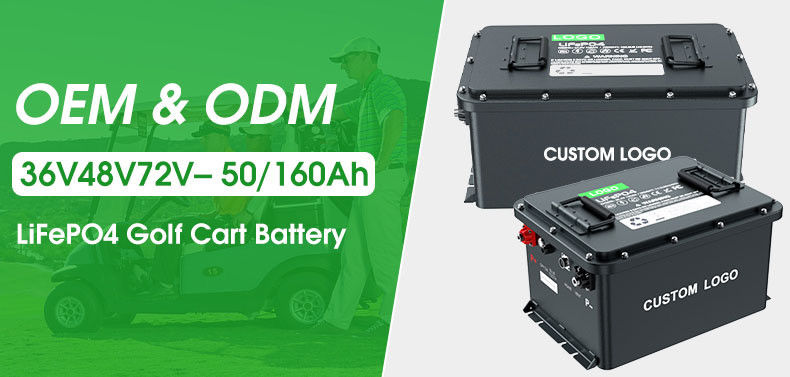 IP67 Lithium Iron Phosphate Battery Golf Cart Lifepo4 Lithium Ion Battery Pack 51.2v Deep Cycle